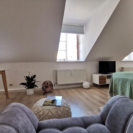 Fynbos Apartments In Der Altstadt, Frauenkirche, Historisch, Parkplatz Meissen Ngoại thất bức ảnh