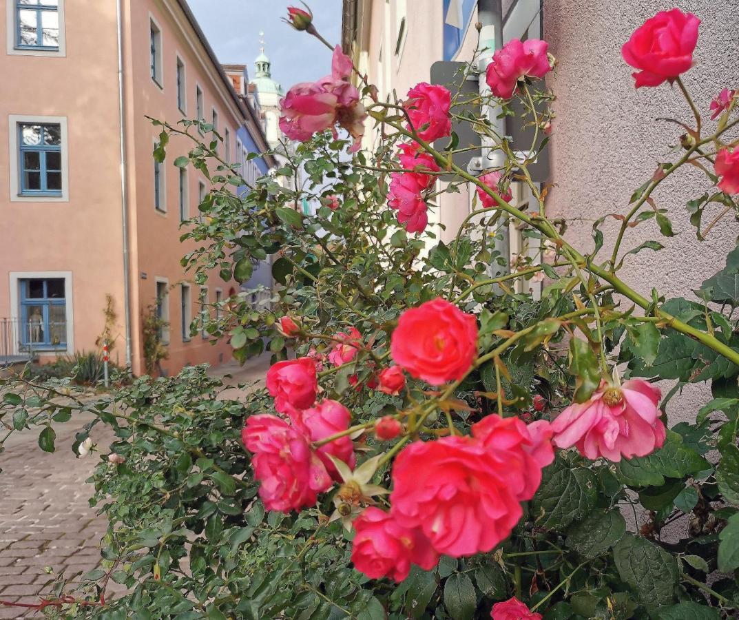 Fynbos Apartments In Der Altstadt, Frauenkirche, Historisch, Parkplatz Meissen Ngoại thất bức ảnh