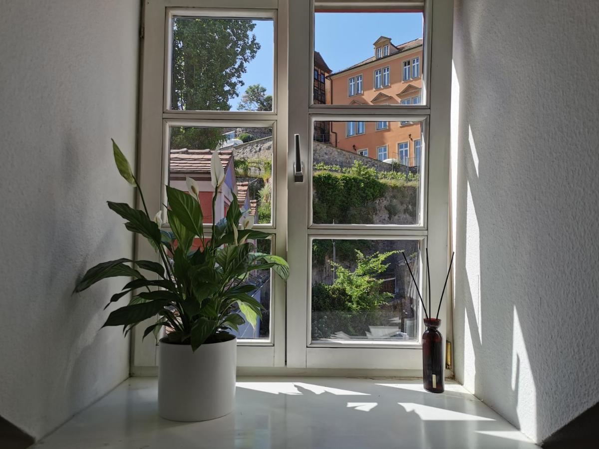 Fynbos Apartments In Der Altstadt, Frauenkirche, Historisch, Parkplatz Meissen Ngoại thất bức ảnh