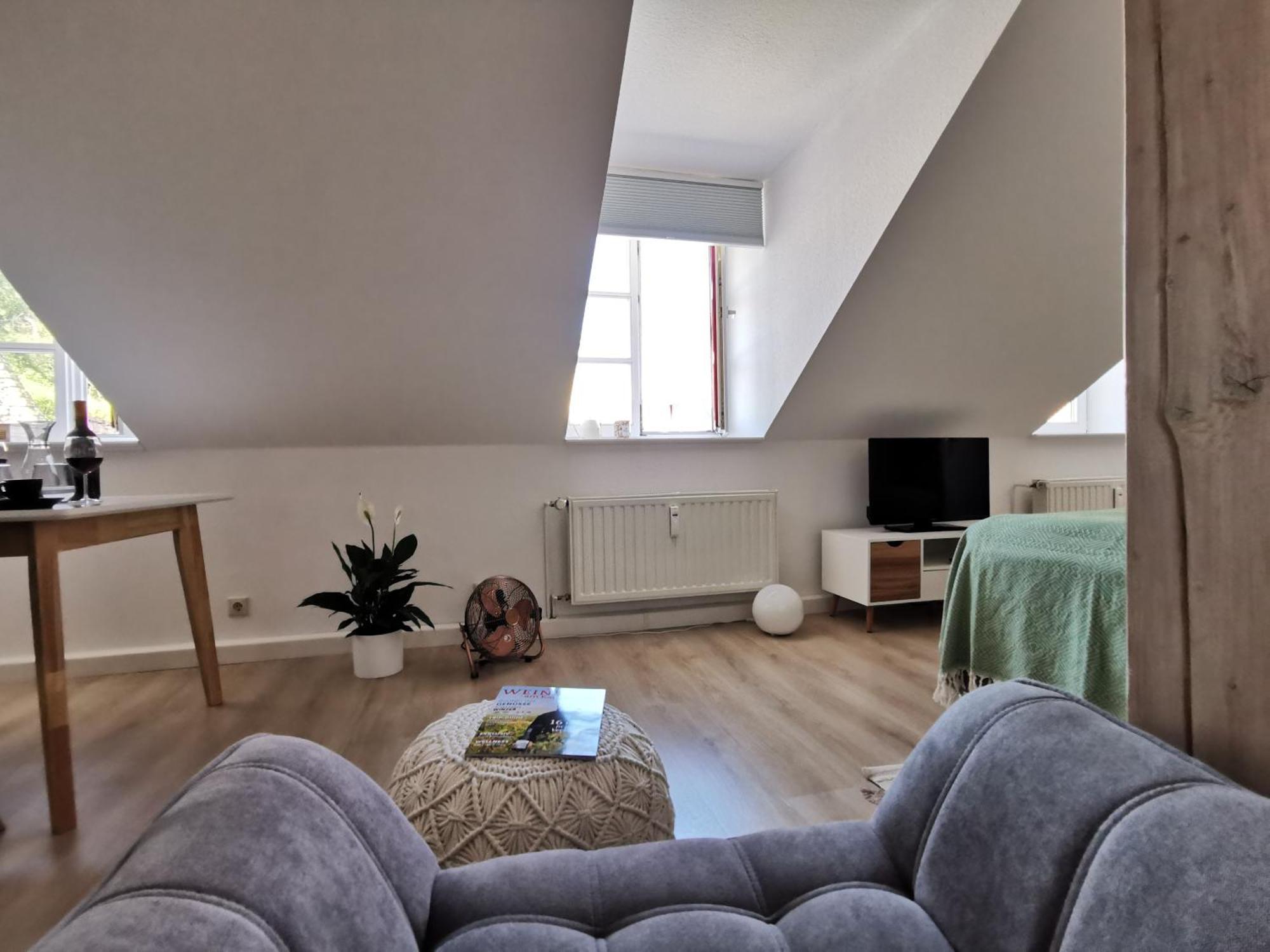 Fynbos Apartments In Der Altstadt, Frauenkirche, Historisch, Parkplatz Meissen Ngoại thất bức ảnh