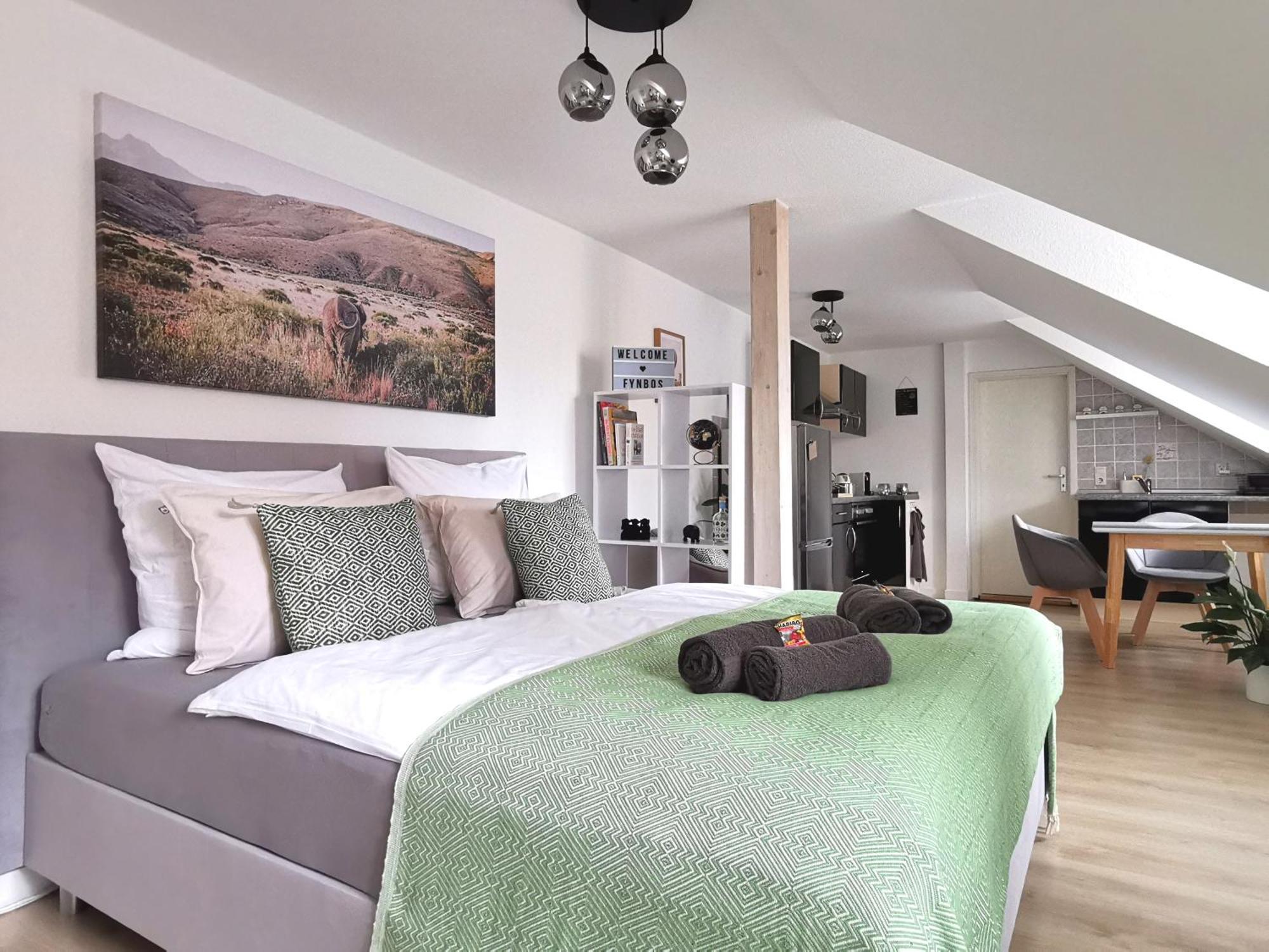 Fynbos Apartments In Der Altstadt, Frauenkirche, Historisch, Parkplatz Meissen Phòng bức ảnh